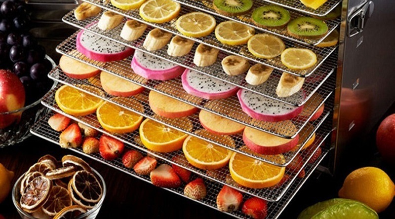 How To Choose The Best Dehydrator For Your Home